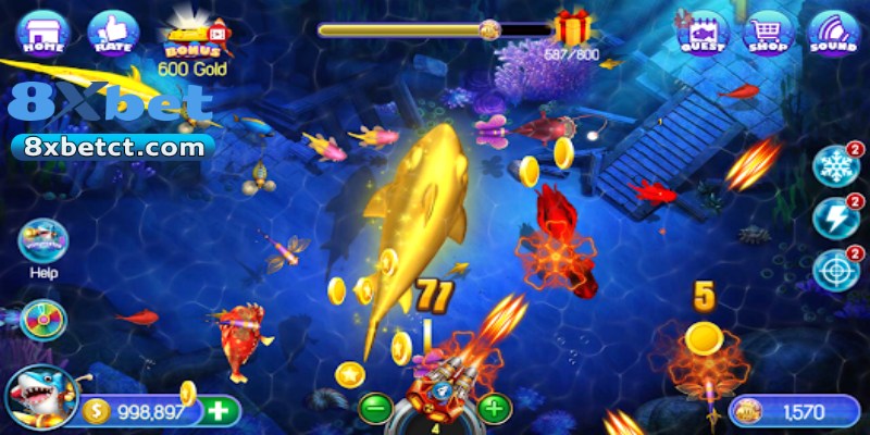 Những vật phẩm giúp hỗ trợ dân săn cá